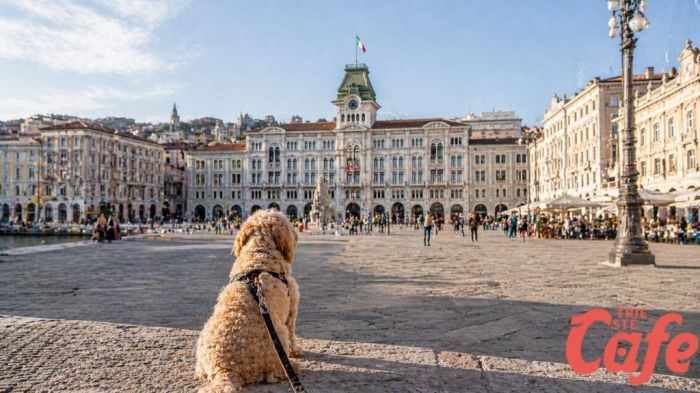 Commercio in città, una triestina rilancia: “Servono più servizi per gli animali”
