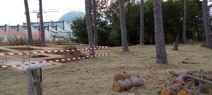 "Scavata una buca nella pineta di Cattinara"