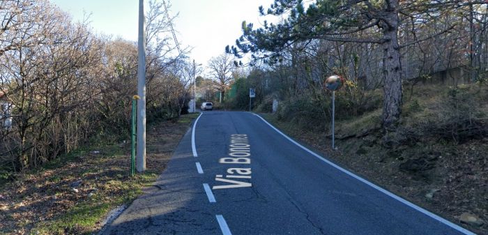 Via Bonomea, sabato notte scontro auto-cinghiale: si cercano testimoni 