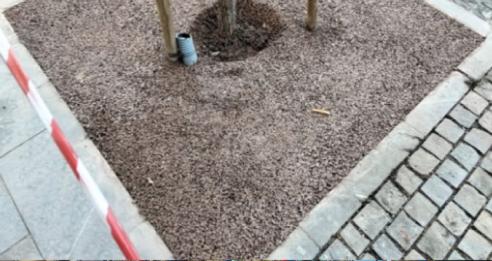 Muggia rinnova via Roma, completati i lavori alle basi degli alberi con pavimentazione drenante