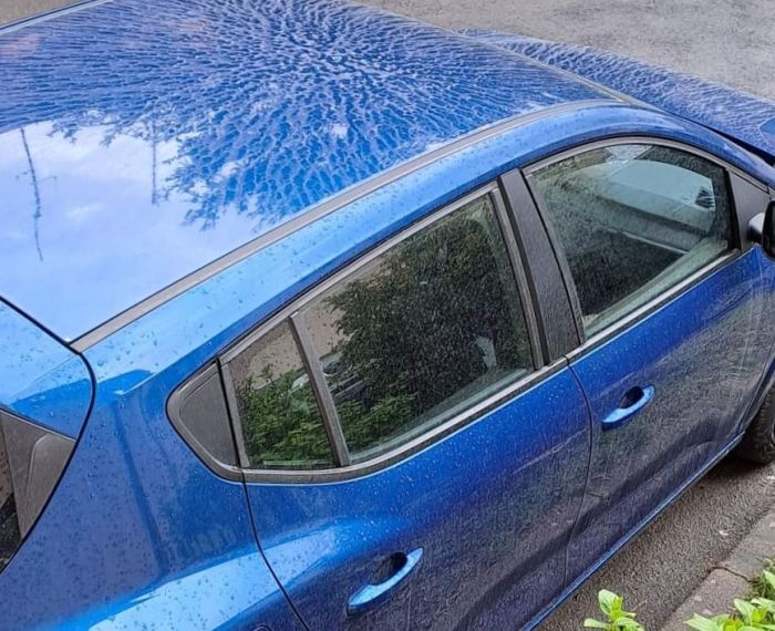 Piove sabbia a Trieste, da qualche giorno auto parcheggiate sporche causa maltempo