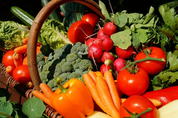 Dopo l'inverno 'bollente' arriva il gelo. Allarme per ortaggi e frutta