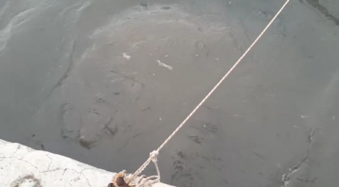 Intero bacino a fianco del Molo Audace,  completamente pieno di liquami fognari" (VIDEO) 