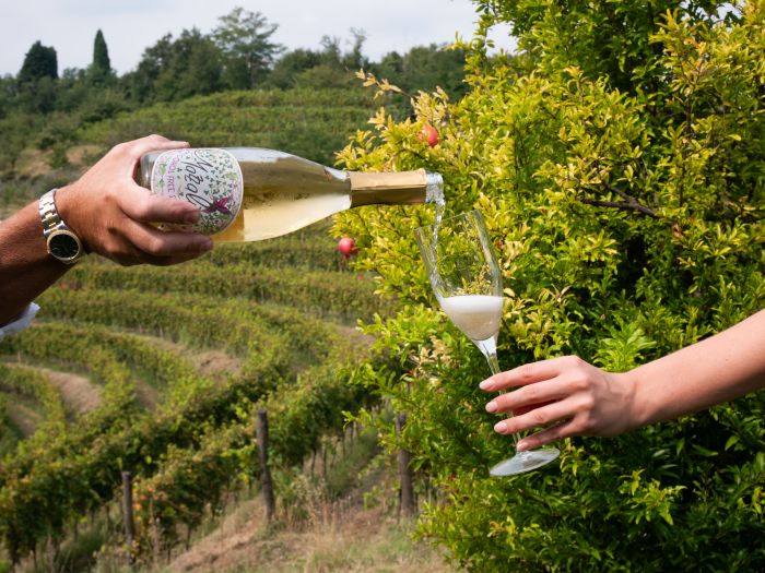 MAZZALÙA,  Alcohol Free Sparkling, spumeggiante e analcolico, esclusiva da Domori (Gruppo Illy) in Italia 