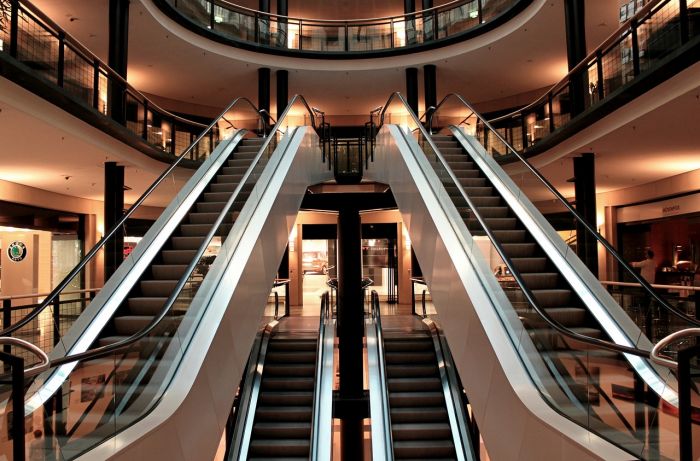 Trento: furto al centro commerciale, rubati anche decine di animali esotici e biancheria intima 