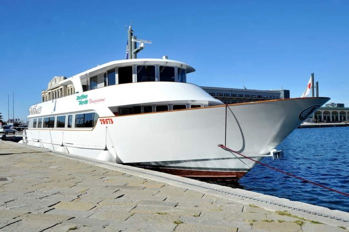 Delfino Verde al via oggi il collegamento stagionale Trieste - Barcola - Grignano - Sistiana 