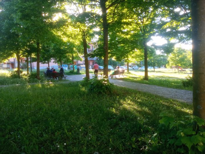 Trieste, tra giochi, sorrisi e incontri spontanei: fotografia sociale dei rioni raccontata da triestina