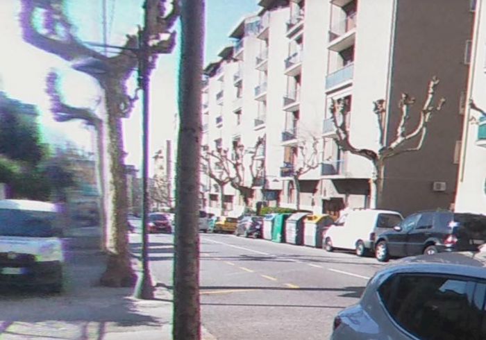 Ancora casi Dengue a Trieste! Lunedì all'alba disinfestazione in zona Vicolo della Salvia 
