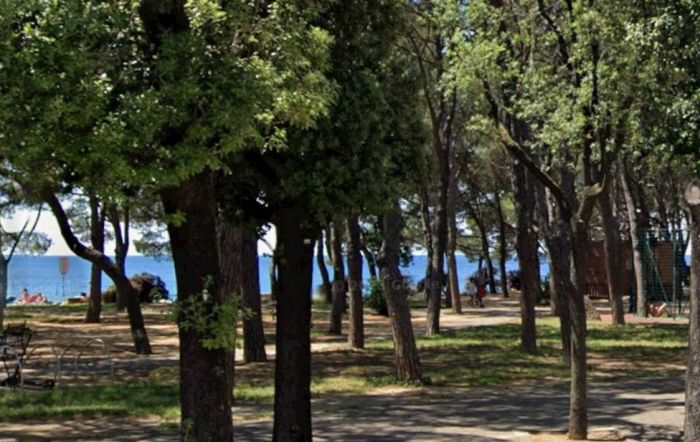 Barcola, sfreccia a 40 km/h su una bici “truccata”: multa da 1200 euro e sequestro del mezzo