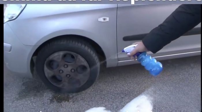 Il grido di una triestina: "Basta deiezioni canine in città, usate l'elisir magico!"