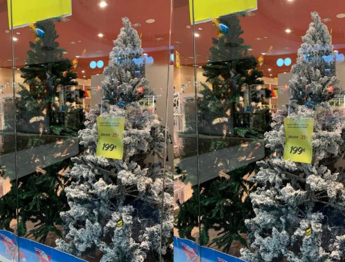 Trieste si prepara al Natale: boom di richieste e consigli sui social per un “Nadal” perfetto