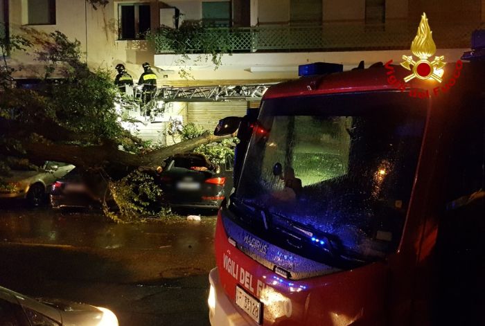Maltempo e bora a Trieste, maxi lavoro per i Vigili del fuoco: già ultimati 100 interventi! (FOTO) 