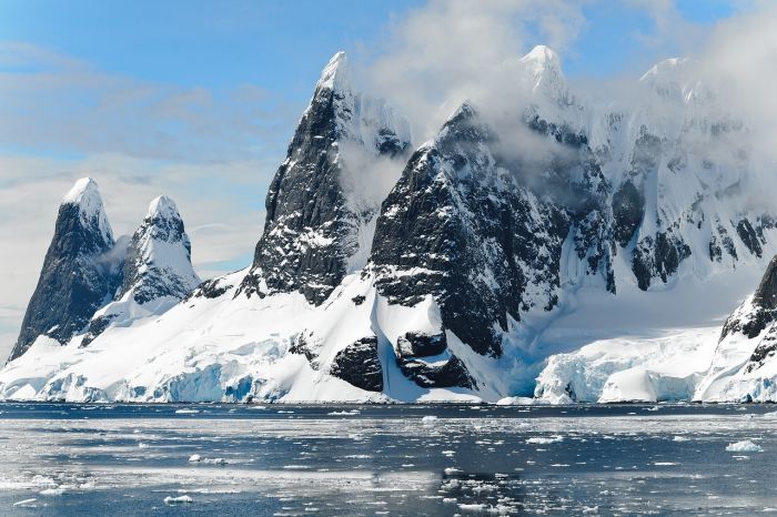 Piantare alberi nell'Artico potrebbe peggiorare il riscaldamento globale