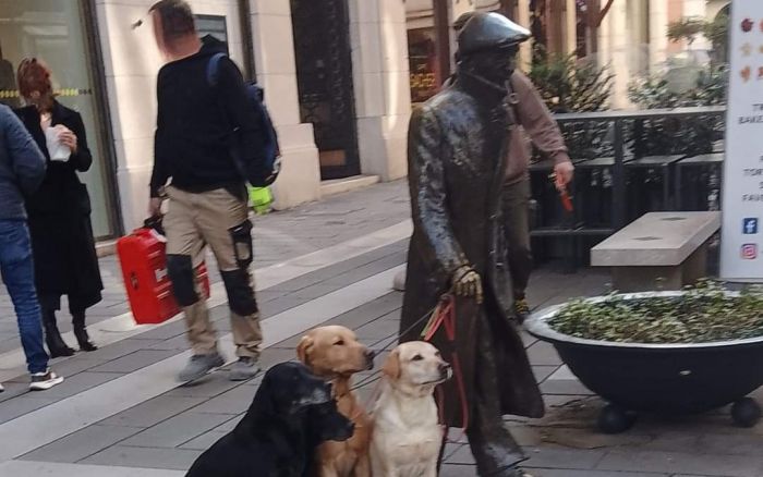 La statua di Saba e i suoi nuovi amici a quattro zampe: una scena inedita in via Dante