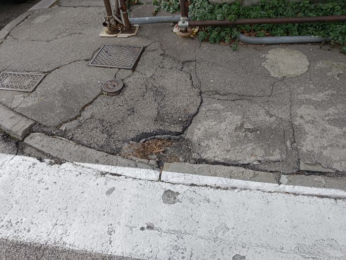 Via Corti e via Università, marciapiedi in rovina da 8 anni: la denuncia di un triestino