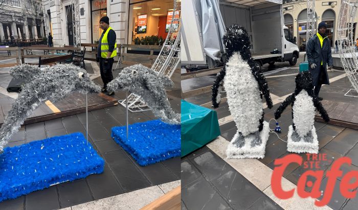 Delfini, pinguini e giochi di luci: In costruzione la maxi installazione artistica per Trieste in Fiore