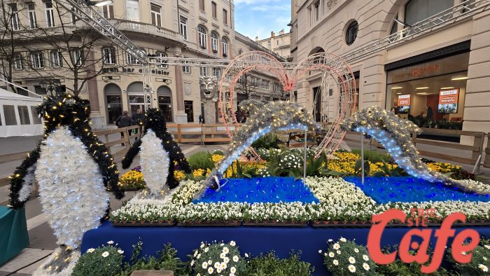 Un’esplosione di colori e magia, la spettacolare installazione in Largo Bonifacio lascia senza fiato!