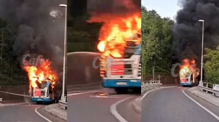 Autobus coinvolto in un incendio a Muggia: nessun ferito, Trieste Trasporti avvia un’indagine tecnica