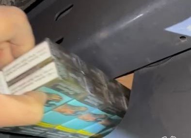 Porto di Trieste, sigarette nascoste nei paraurti: il fiuto di Lorgan manda in fumo il piano