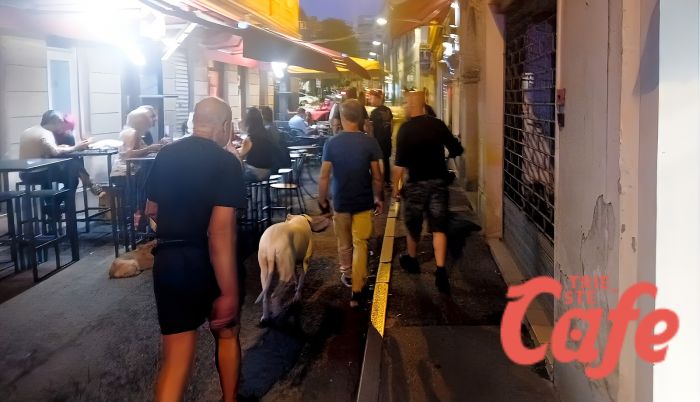 Forza Nuova, passeggiata per la sicurezza a Trieste: ‘Droga a cielo aperto nelle vie della città’