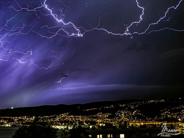 Trieste, notte di maltempo: alberi caduti e allagamenti, Vigili del fuoco al lavoro senza sosta