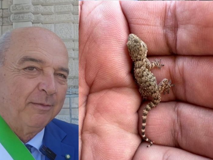 'Anche il piccolo geco mi vuole bene': la carezza di Dipiazza che conquista i cuori