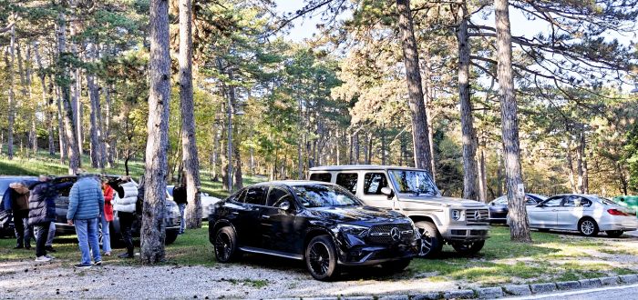 Tra i pini di Monte Grisa, regna l’inciviltà: auto ovunque nonostante i divieti
