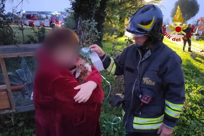 Fvg, incendio in un capannone agricolo: Vigili del fuoco eroi salvano decine di conigli