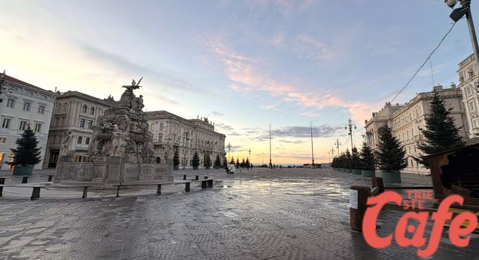 Trieste dà il via al Natale: posizionati oggi gli alberi in piazza Unità