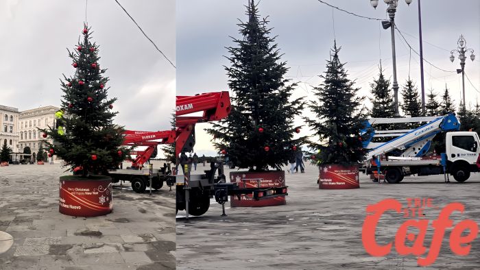 I 24 alberi di Natale si vestono di rosso e piazza Unità diventa scenografia d’autore