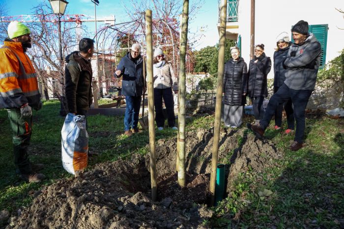 Trieste accoglie il futuro: un nuovo albero dedicato ai nati del 2025 al Polo Giovani