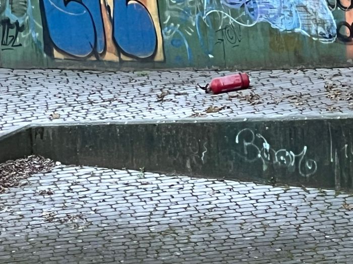 «Squinternati incappucciati» in giardino e vandalismi: residente in via del Veltro furibondo