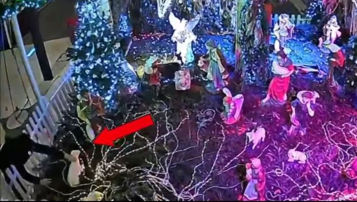5 vandali nel presepe di Monfalcone, furia social di Anna Cisint: “li stiamo individuando” (VIDEO)