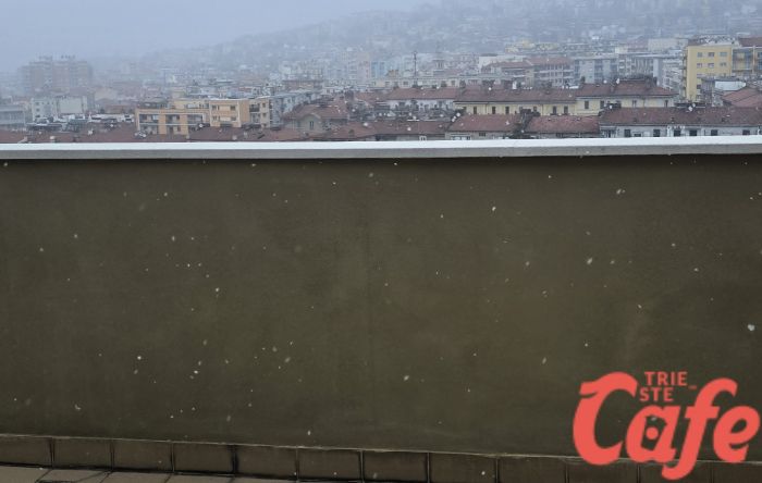Fiocchi di neve su Trieste ma niente accumuli: temperature sopra lo zero e spettacolo social