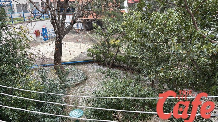 La neve inizia ad attaccare a Trieste, fiocchi visibili in zona via Paisiello