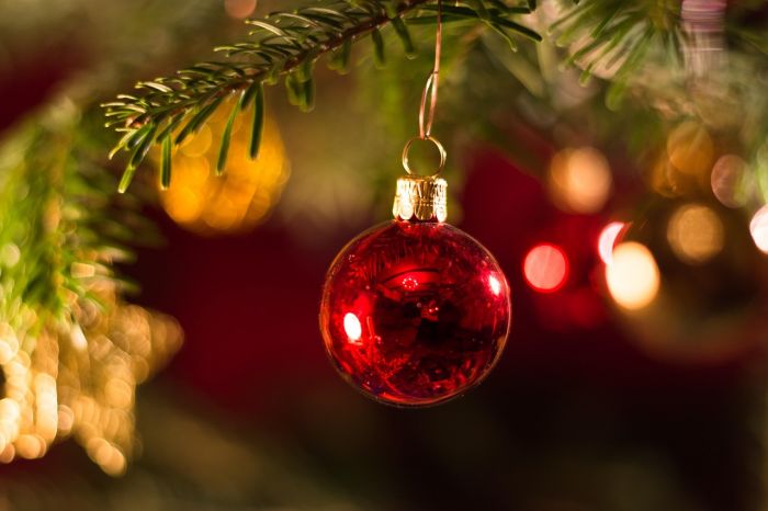 “15 euro e ve smonto l’albero de Nadal”: la proposta irriverente di una triestina fa esplodere il web