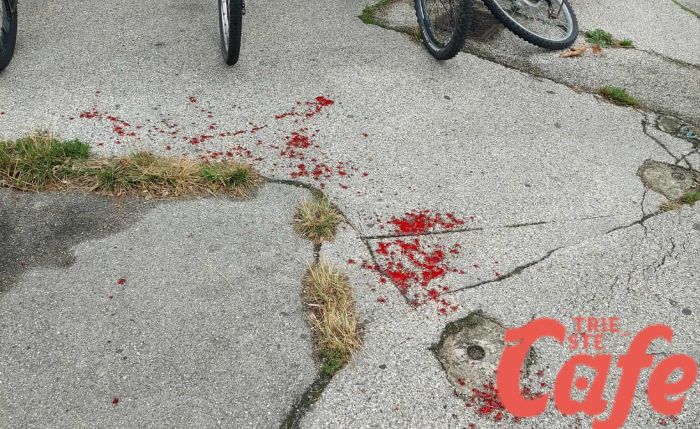 Piazza Dalmazia, chiazze di sangue sull’asfalto: intervento dei carabinieri, era un cane ferito