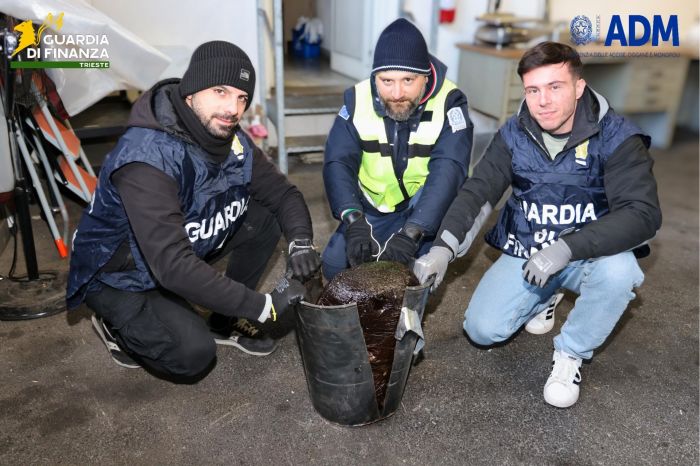 “Venti chili di oppio nascosti nel catalizzatore”: maxi sequestro al porto di Trieste