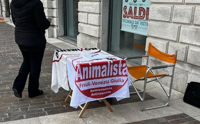 Animalisti, “No ai 400mila euro per il mattatoio di Prosecco: scelta contro il benessere animale”