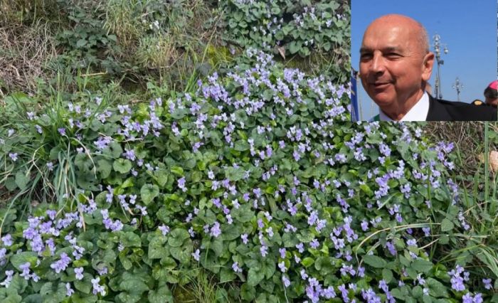 Trieste, Dipiazza romantico per l’8 marzo: “Un omaggio floreale da casa mia a tutte le donne”