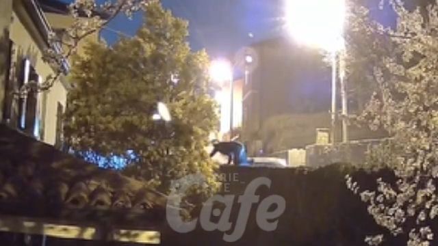 Via Costalunga, si arrampica sul muro per rubare rametto di mimosa: telecamera in azione (VIDEO) 