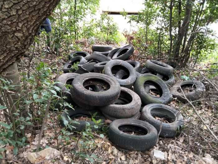 Gaast, sabato di lavoro: raccolti 150 pneumatici abbandonati nel bosco di via Aurelio Brovedani
