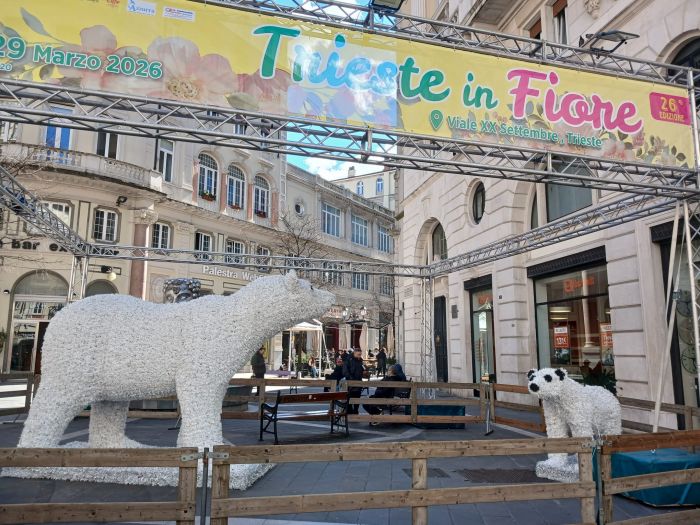 Trieste in Fiore prende vita, spuntano gli orsi nell’installazione di largo Bonifacio