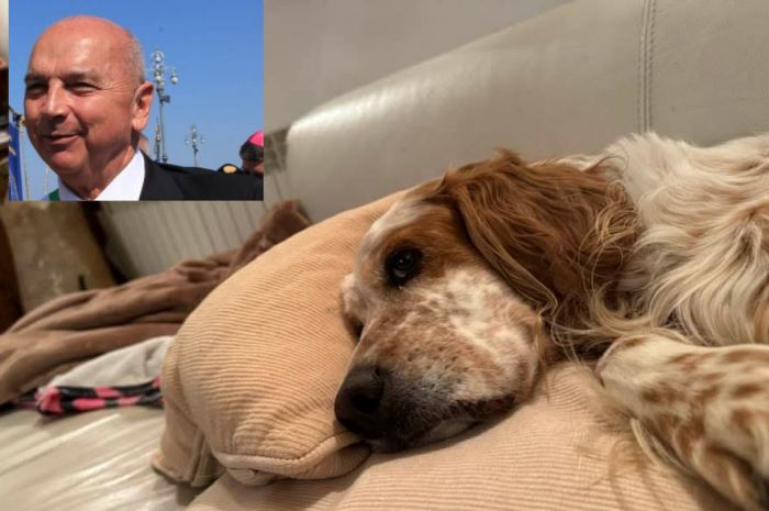 Il “vero padrone di casa”, Dipiazza mostra Ted e conquista i social con un post tenero