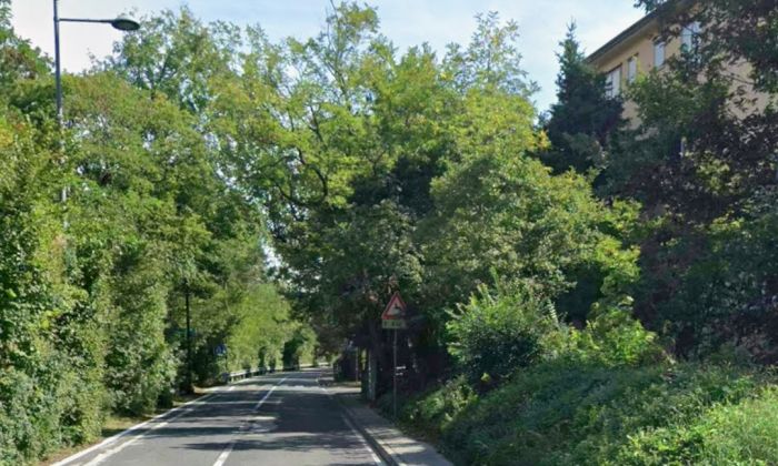 Trieste, allarme al Boschetto: trovato un ordigno, intervento di Digos e artificieri