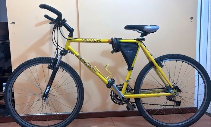 Trieste, bici rubata in viale d’Annunzio: appello ai cittadini per ritrovarla