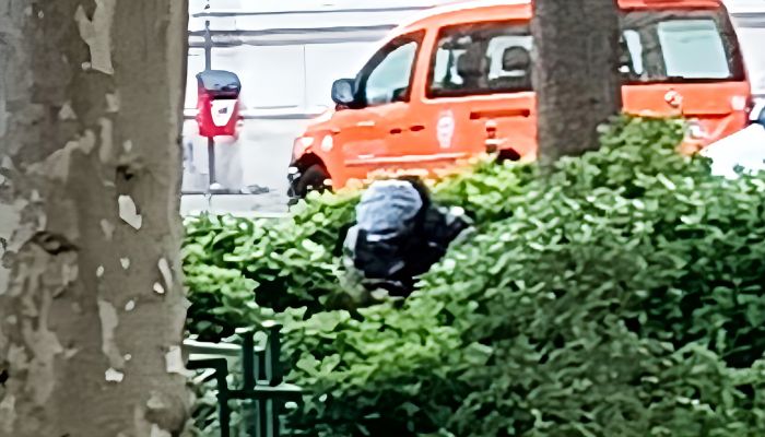 Uomo defeca di primo mattino in piazza Venezia tra mamme e bimbi 