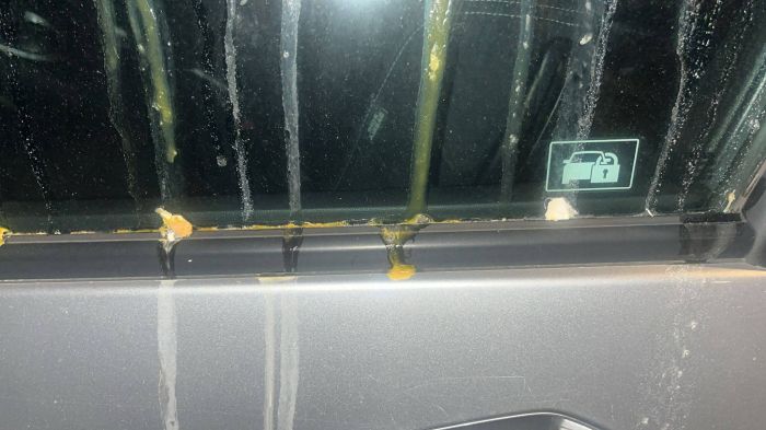 Raute sotto assedio, auto imbrattata con uova: “Vandalismi continui, residenti esasperati”
