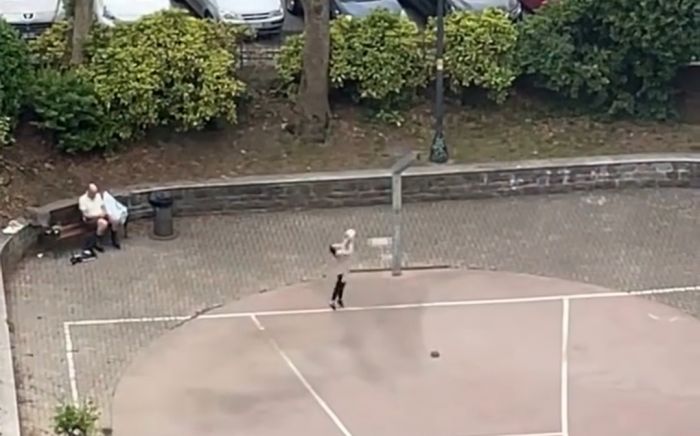 Campetto senza canestri in piazza Carlo Alberto, Babuder rassicura: “Sarà completamente rifatto”