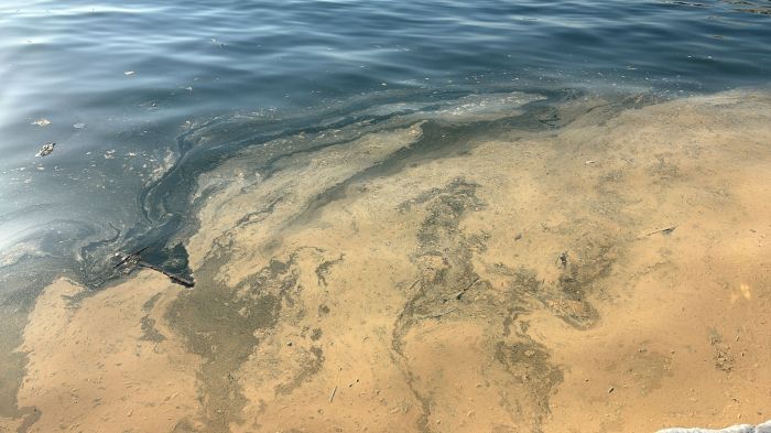 Acqua marrone davanti alle Rive di Trieste: scattano le segnalazioni sul lungomare